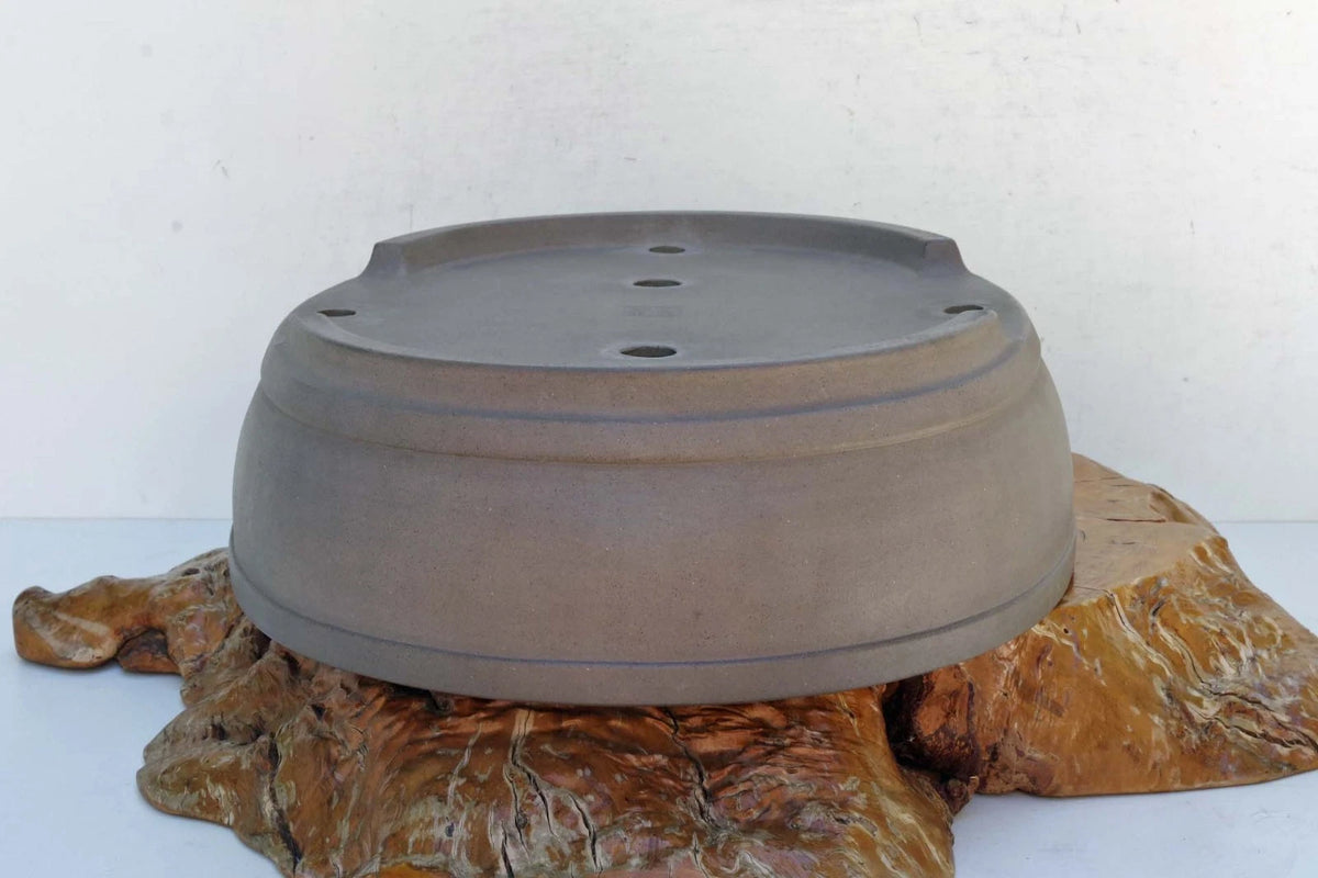 Bonsai Pot Tokoname Keizan-en Unglazed Oval Deep Width 64 cm /25.2 in.Ex-Large