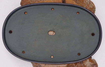 Bonsai Pot Extra Large Navy Blue Glazed Oval Harumatsu Width 75cm( 29 7in.)