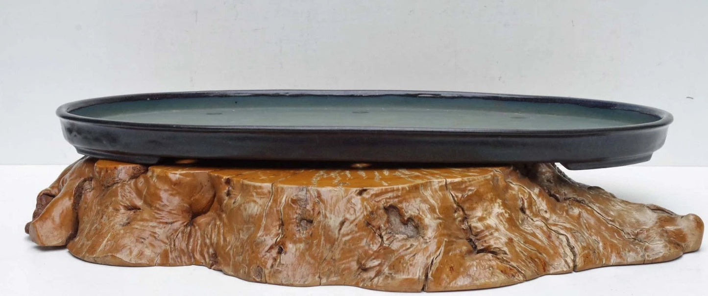 Bonsai Pot Extra Large Navy Blue Glazed Oval Harumatsu Width 75cm( 29 7in.)