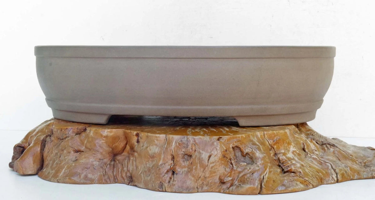 Bonsai Pot Tokoname Keizan-en Unglazed Oval Deep Width 64 cm /25.2 in.Ex-Large