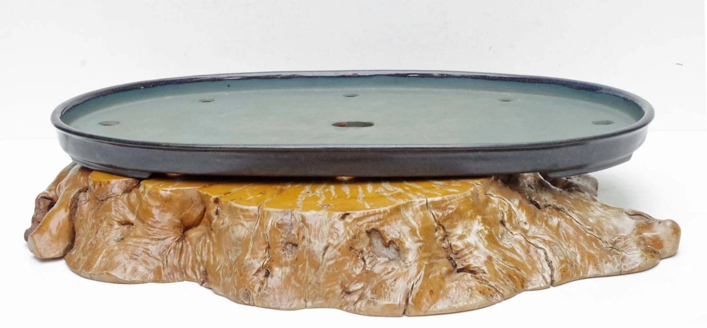 Bonsai Pot Extra Large Navy Blue Glazed Oval Harumatsu Width 75cm( 29 7in.)
