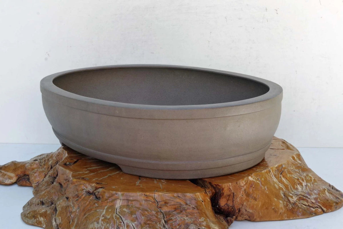 Bonsai Pot Tokoname Keizan-en Unglazed Oval Deep Width 64 cm /25.2 in.Ex-Large