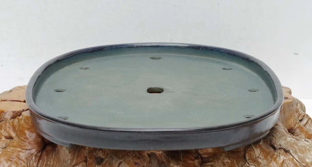 Bonsai Pot Extra Large Navy Blue Glazed Oval Harumatsu Width 75cm( 29 7in.)