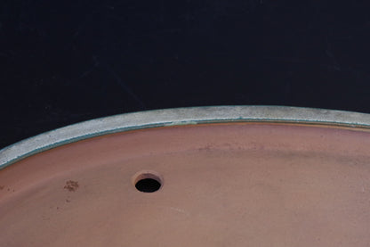 Bonsai Pot Tokoname REIHO Oval Green Glazed Width 56.4 cm / 22.2 in.Extra large