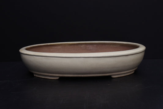 Bonsai Pot Tokoname SHUHO White Glazed Oval Width 50.5 cm (19.88 in.) Extra Large