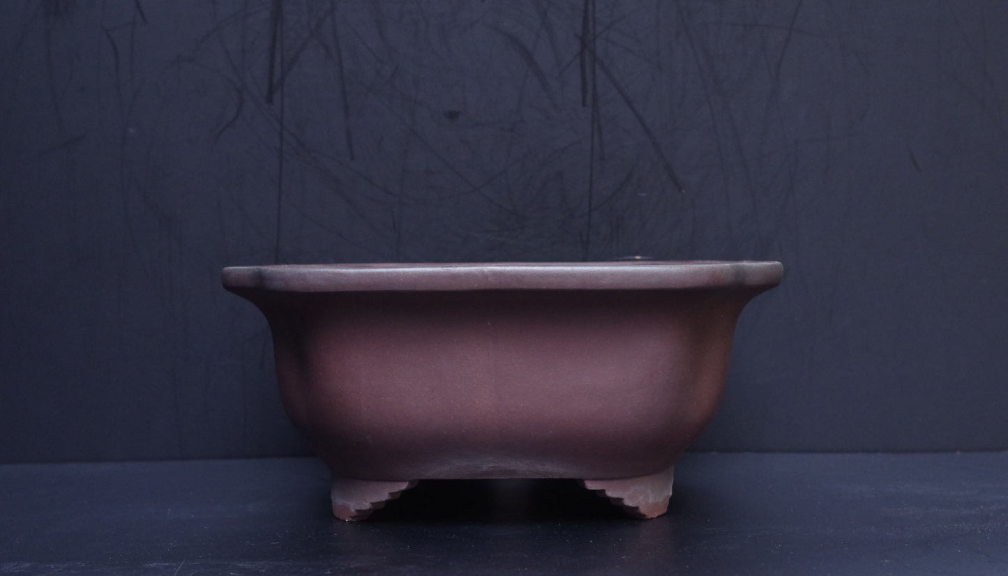 Bonsai Pot Tokoname Yamaaki Unglazed Mokko Width 43.7 cm (17.2 in.) Large