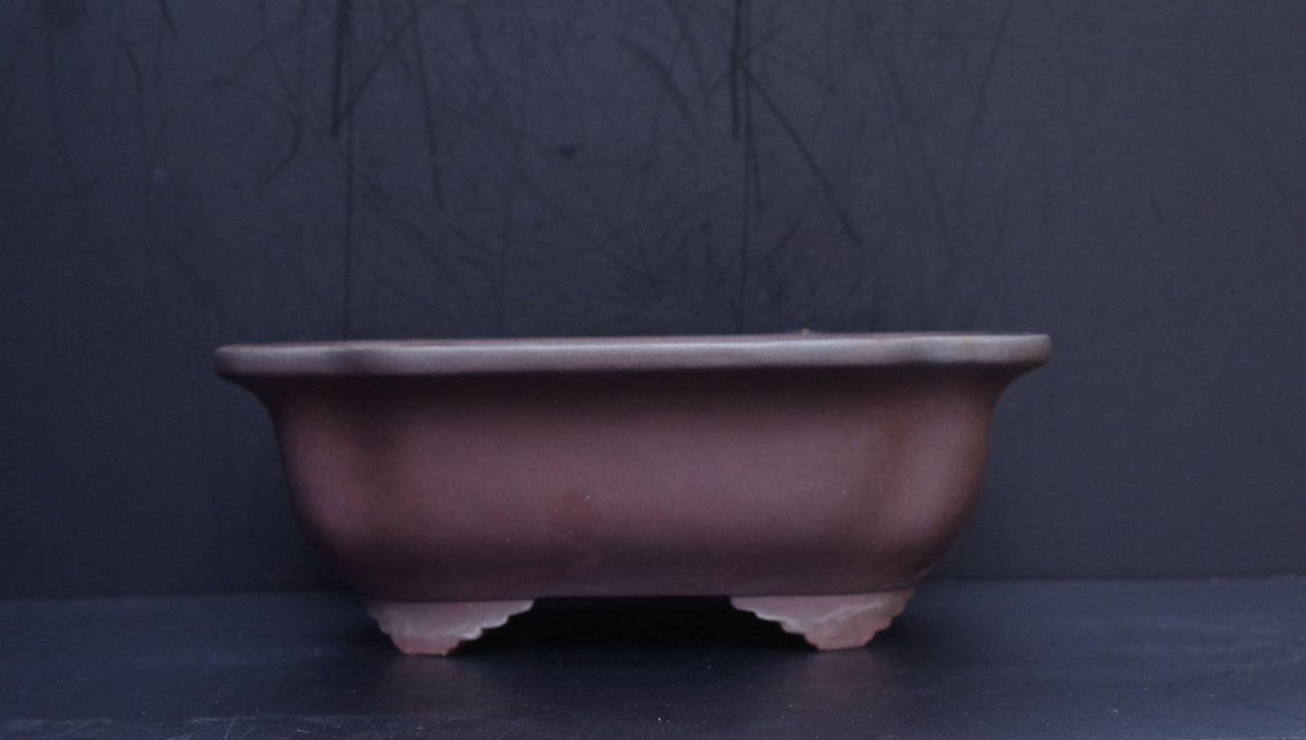 Bonsai Pot Tokoname Yamaaki Unglazed Mokko Width 43.7 cm (17.2 in.) Large