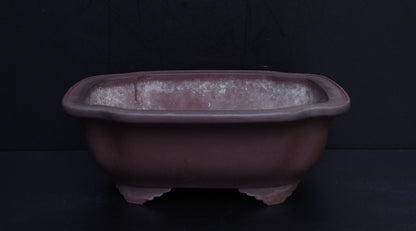 Bonsai Pot Tokoname Yamaaki Unglazed Mokko Width 43.7 cm (17.2 in.) Large