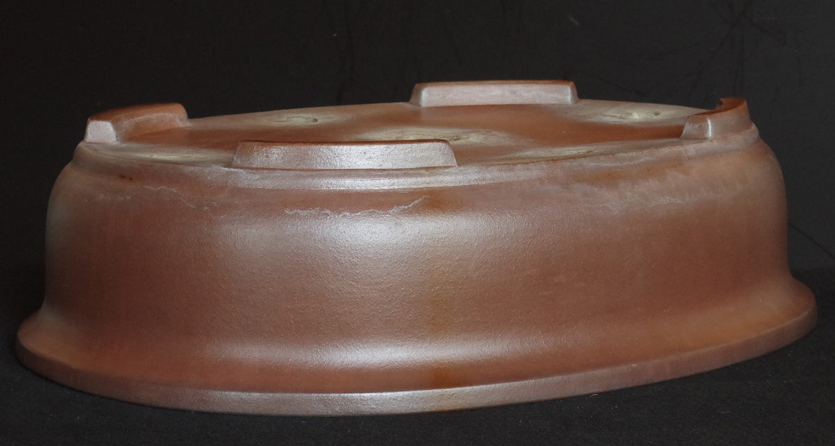Ex-Large Tokoname ITAYAMA Bonsai Pot Unglazed Oval 62.2 cm (24.5 in.) Satsuki