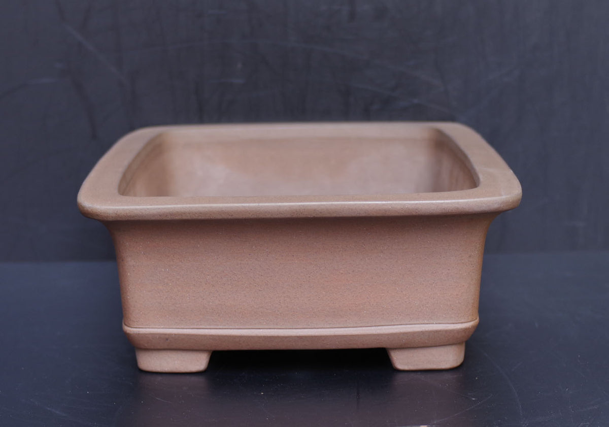 Bonsai Pot Tokoname Nakano Yuji Unglazed Rectangular Width 41.2 cm (16.22 in.) Large