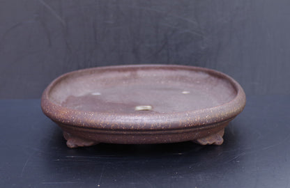 Bonsai Pot Tokoname Keizan Unglazed Oval Width 55 cm (21.7 inches) Extra Large