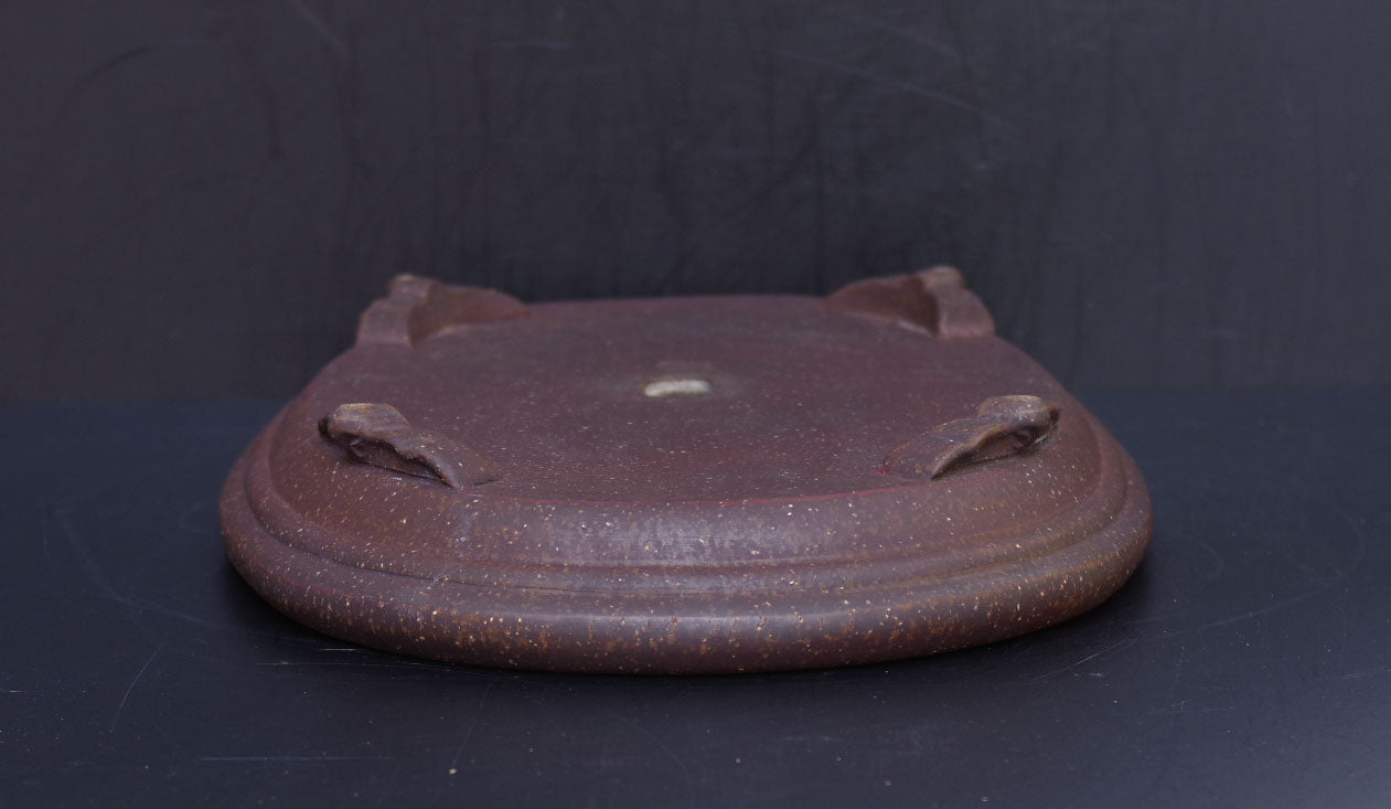 Bonsai Pot Tokoname Keizan Unglazed Oval Width 55 cm (21.7 inches) Extra Large