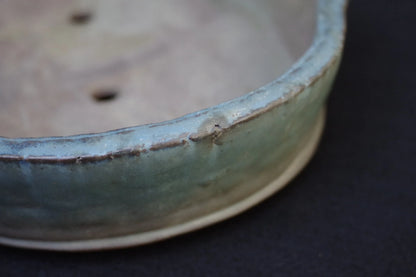 Bonsai Pot Tokoname Shuho Glazed Mokko Width 43.1 cm (16.97 in.) Large