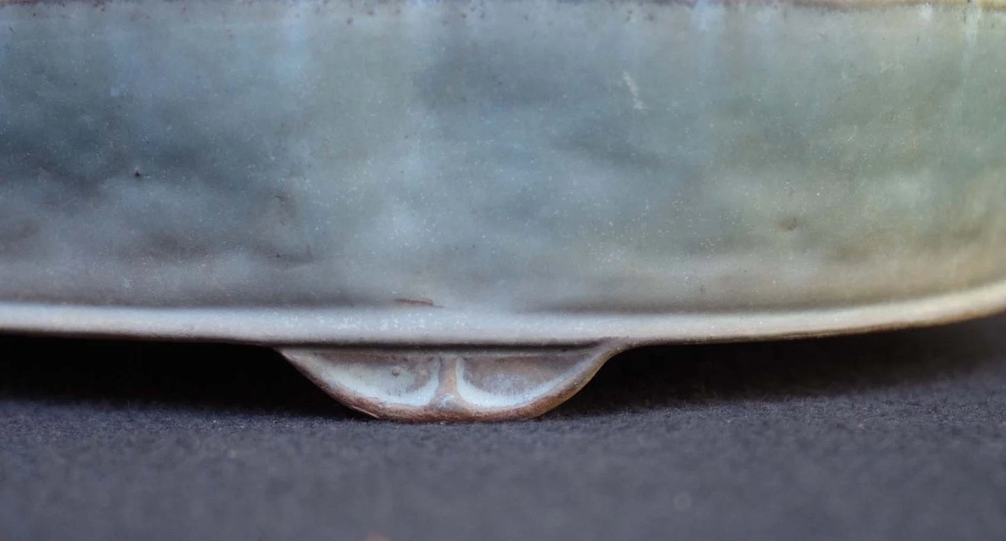 Bonsai Pot Tokoname Shuho Glazed Mokko Width 43.1 cm (16.97 in.) Large