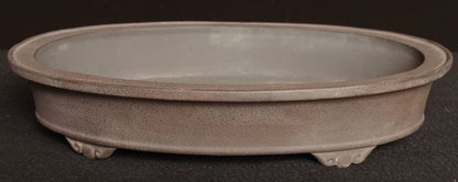 Bonsai Pot Tokoname Shibata Keizan Oval Width 39.9 cm (15.71 inches)
