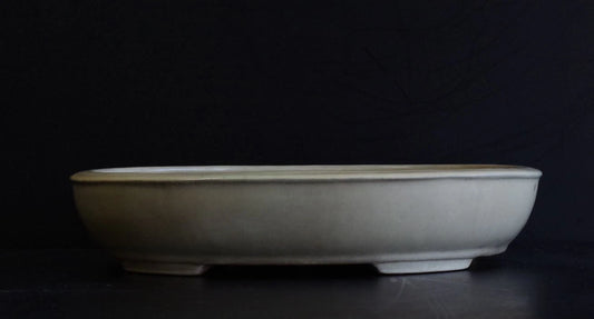 Bonsai Pot Tokoname Shuho White Glazed Oval Width 39.7 cm (15.63 in.) Large