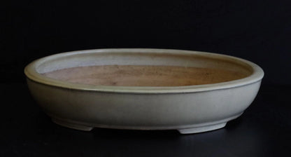 Bonsai Pot Tokoname Shuho White Glazed Oval Width 39.7 cm (15.63 in.) Large