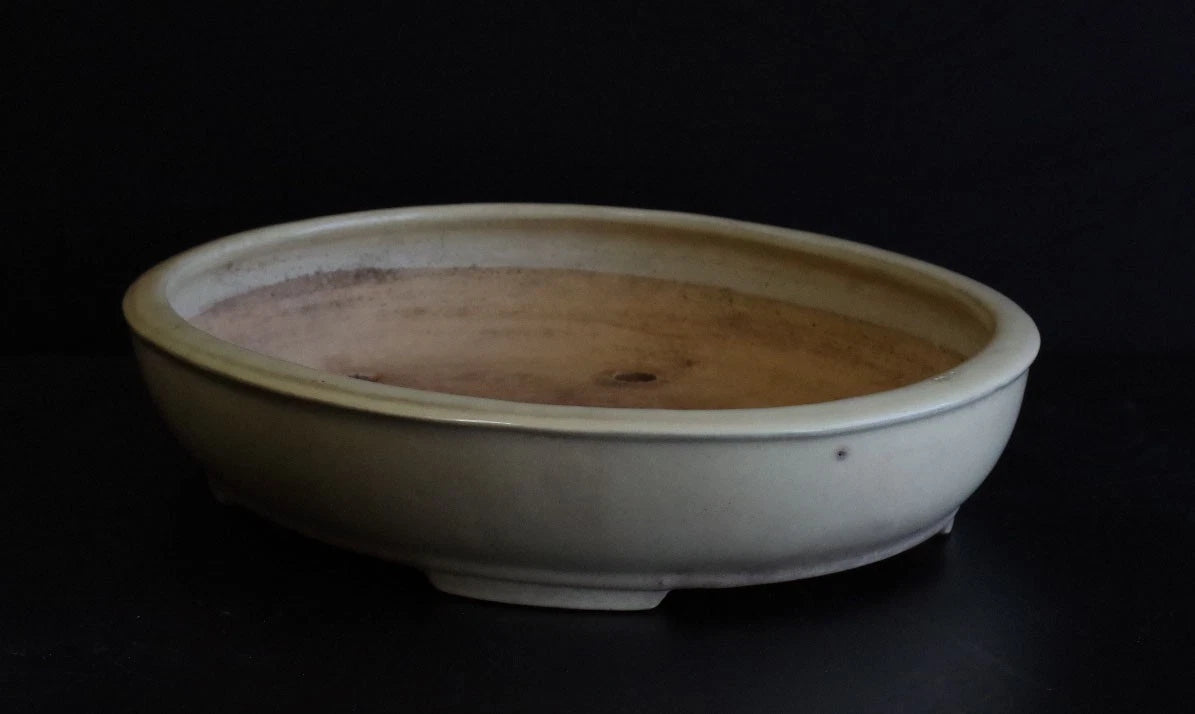 Bonsai Pot Tokoname Shuho White Glazed Oval Width 39.7 cm (15.63 in.) Large