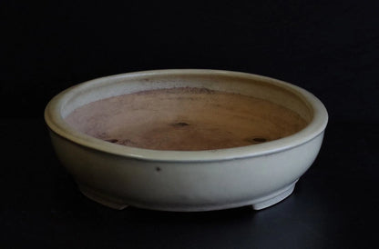 Bonsai Pot Tokoname Shuho White Glazed Oval Width 39.7 cm (15.63 in.) Large