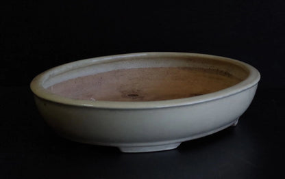 Bonsai Pot Tokoname Shuho White Glazed Oval Width 39.7 cm (15.63 in.) Large