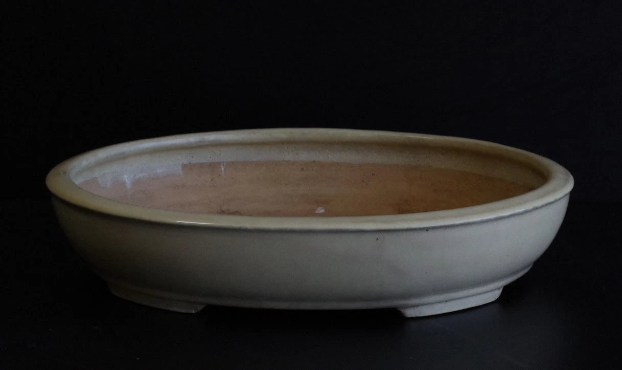 Bonsai Pot Tokoname Shuho White Glazed Oval Width 39.7 cm (15.63 in.) Large