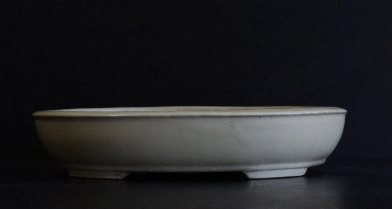 Bonsai Pot Tokoname Shuho White Glazed Oval Width 39.7 cm (15.63 in.) Large