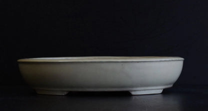 Bonsai Pot Tokoname Shuho White Glazed Oval Width 39.7 cm (15.63 in.) Large