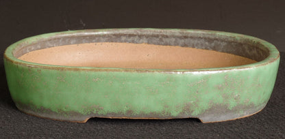 Tokoname Bonsai Pot SHUHO Green Glazed  Oval Handmade  Width 32.2 cm (12.68 in.)