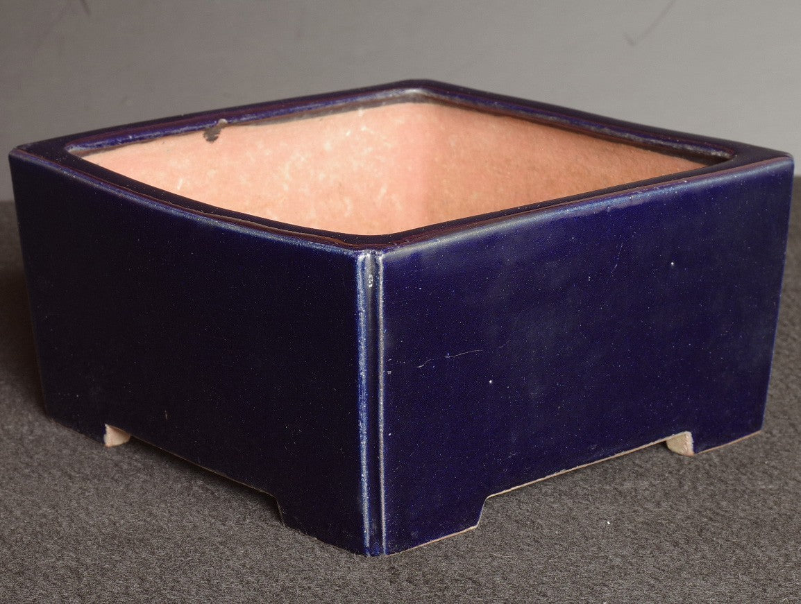 Bonsai Pot Tokoname Reiho Deep Blue Glaze Square Deep Width 23.1 cm (9.09 in.)