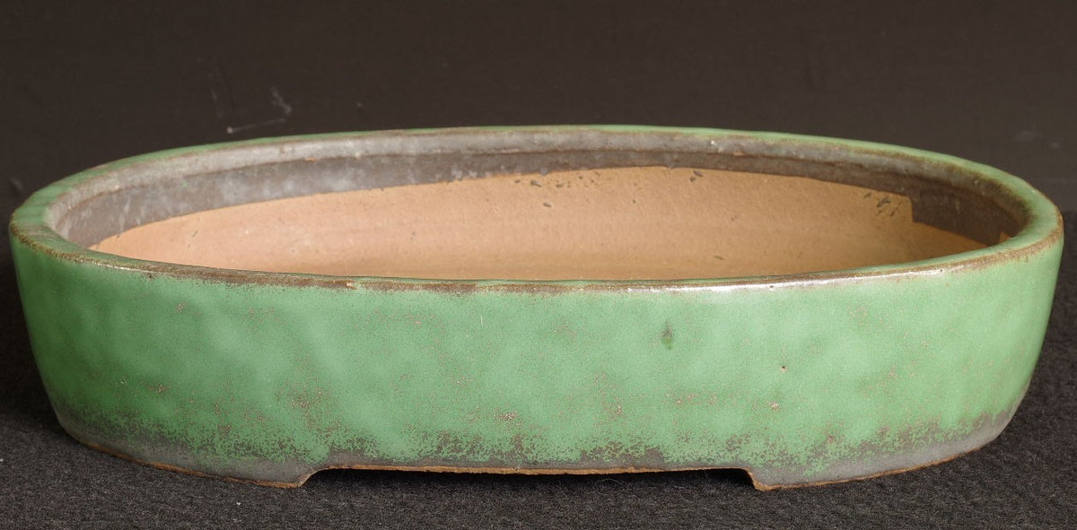 Tokoname Bonsai Pot SHUHO Green Glazed  Oval Handmade  Width 32.2 cm (12.68 in.)