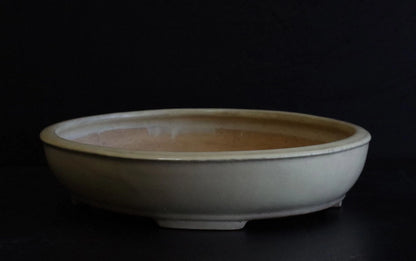 Bonsai Pot Tokoname Shuho White Glazed Oval Width 39.7 cm (15.63 in.) Large