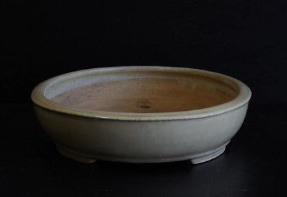 Bonsai Pot Tokoname Shuho White Glazed Oval Width 39.7 cm (15.63 in.) Large