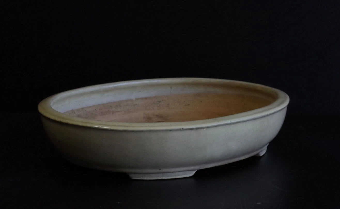 Bonsai Pot Tokoname Shuho White Glazed Oval Width 39.7 cm (15.63 in.) Large