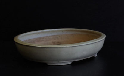 Bonsai Pot Tokoname Shuho White Glazed Oval Width 39.7 cm (15.63 in.) Large