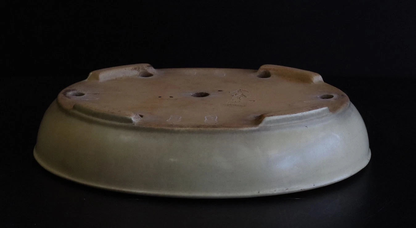 Bonsai Pot Tokoname Shuho White Glazed Oval Width 39.7 cm (15.63 in.) Large