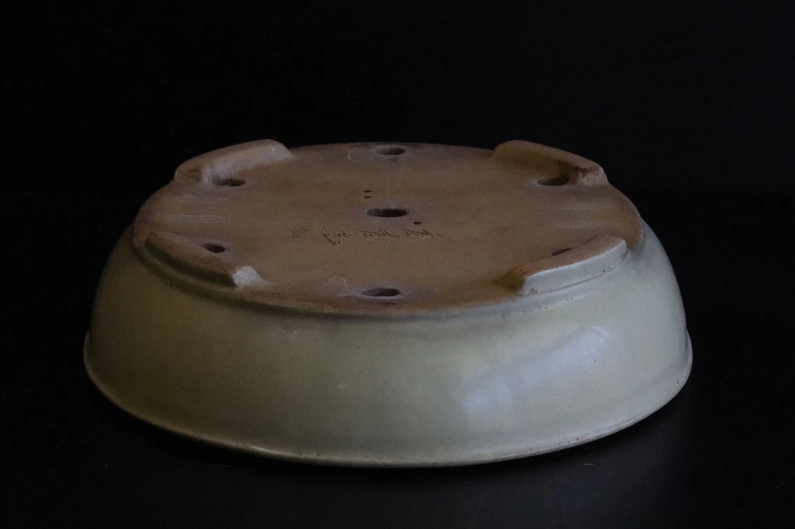 Bonsai Pot Tokoname Shuho White Glazed Oval Width 39.7 cm (15.63 in.) Large