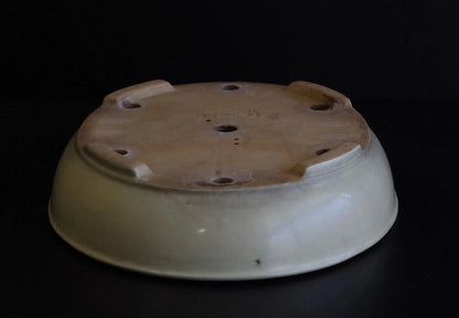 Bonsai Pot Tokoname Shuho White Glazed Oval Width 39.7 cm (15.63 in.) Large