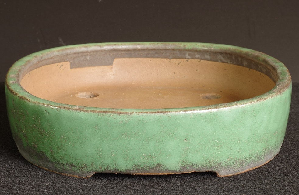 Tokoname Bonsai Pot SHUHO Green Glazed  Oval Handmade  Width 32.2 cm (12.68 in.)