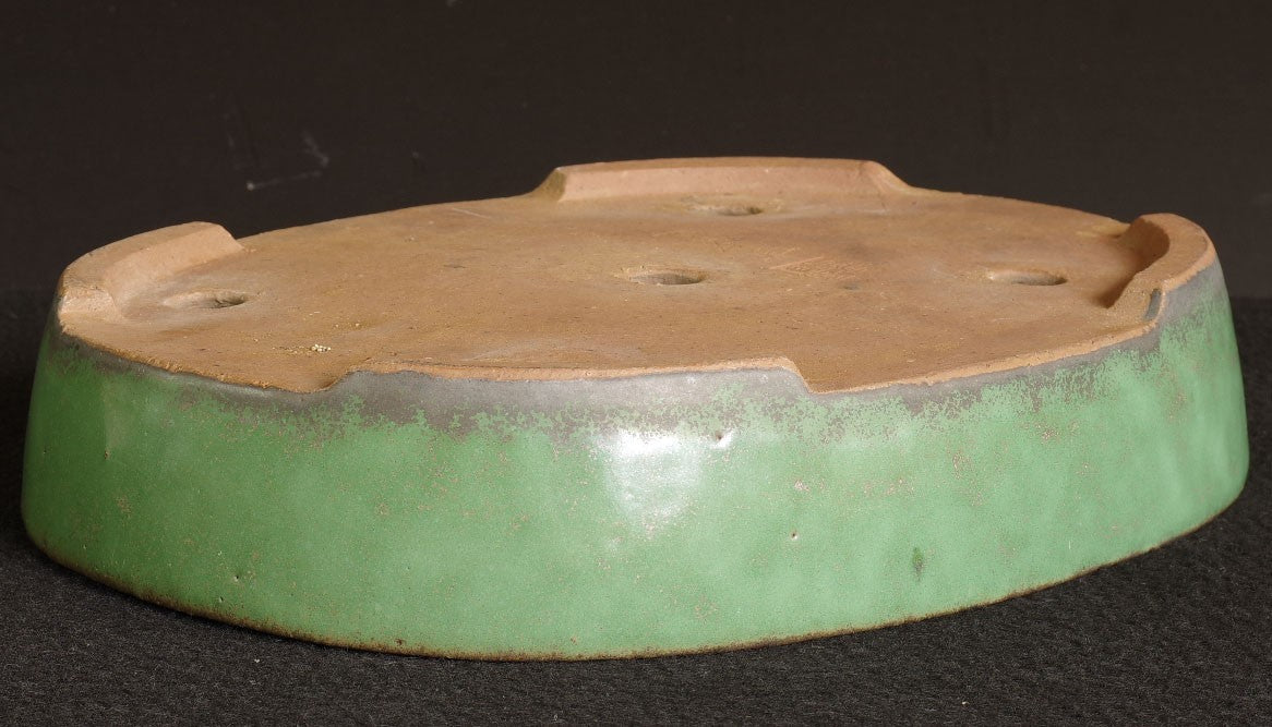 Tokoname Bonsai Pot SHUHO Green Glazed  Oval Handmade  Width 32.2 cm (12.68 in.)