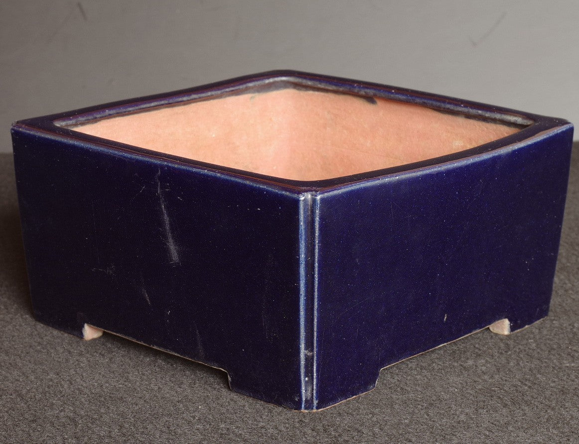 Bonsai Pot Tokoname Reiho Deep Blue Glaze Square Deep Width 23.1 cm (9.09 in.)