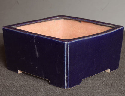 Bonsai Pot Tokoname Reiho Deep Blue Glaze Square Deep Width 23.1 cm (9.09 in.)