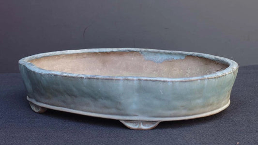 Bonsai Pot Tokoname Shuho Glazed Mokko Width 43.1 cm (16.97 in.) Large