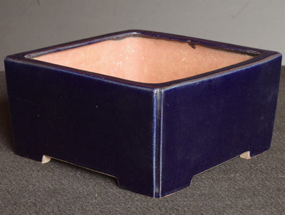 Bonsai Pot Tokoname Reiho Deep Blue Glaze Square Deep Width 23.1 cm (9.09 in.)