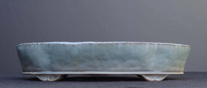 Bonsai Pot Tokoname Shuho Glazed Mokko Width 43.1 cm (16.97 in.) Large
