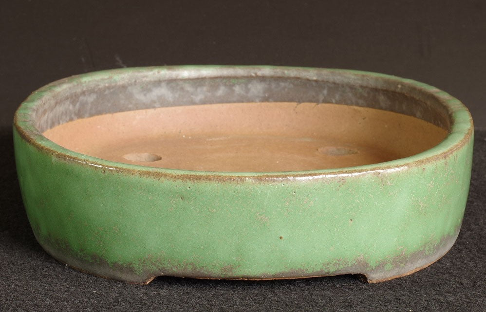 Tokoname Bonsai Pot SHUHO Green Glazed  Oval Handmade  Width 32.2 cm (12.68 in.)
