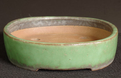 Tokoname Bonsai Pot SHUHO Green Glazed  Oval Handmade  Width 32.2 cm (12.68 in.)