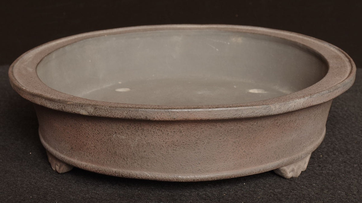 Bonsai Pot Tokoname Shibata Keizan Oval Width 39.9 cm (15.71 inches)