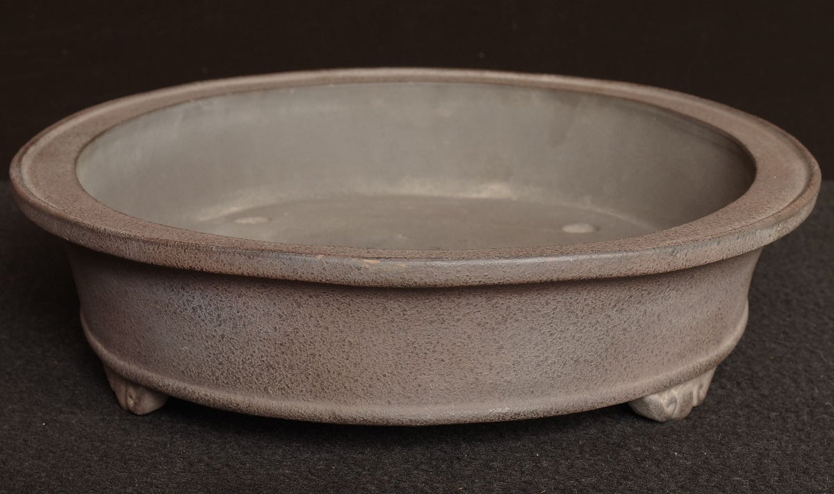 Bonsai Pot Tokoname Shibata Keizan Oval Width 39.9 cm (15.71 inches)