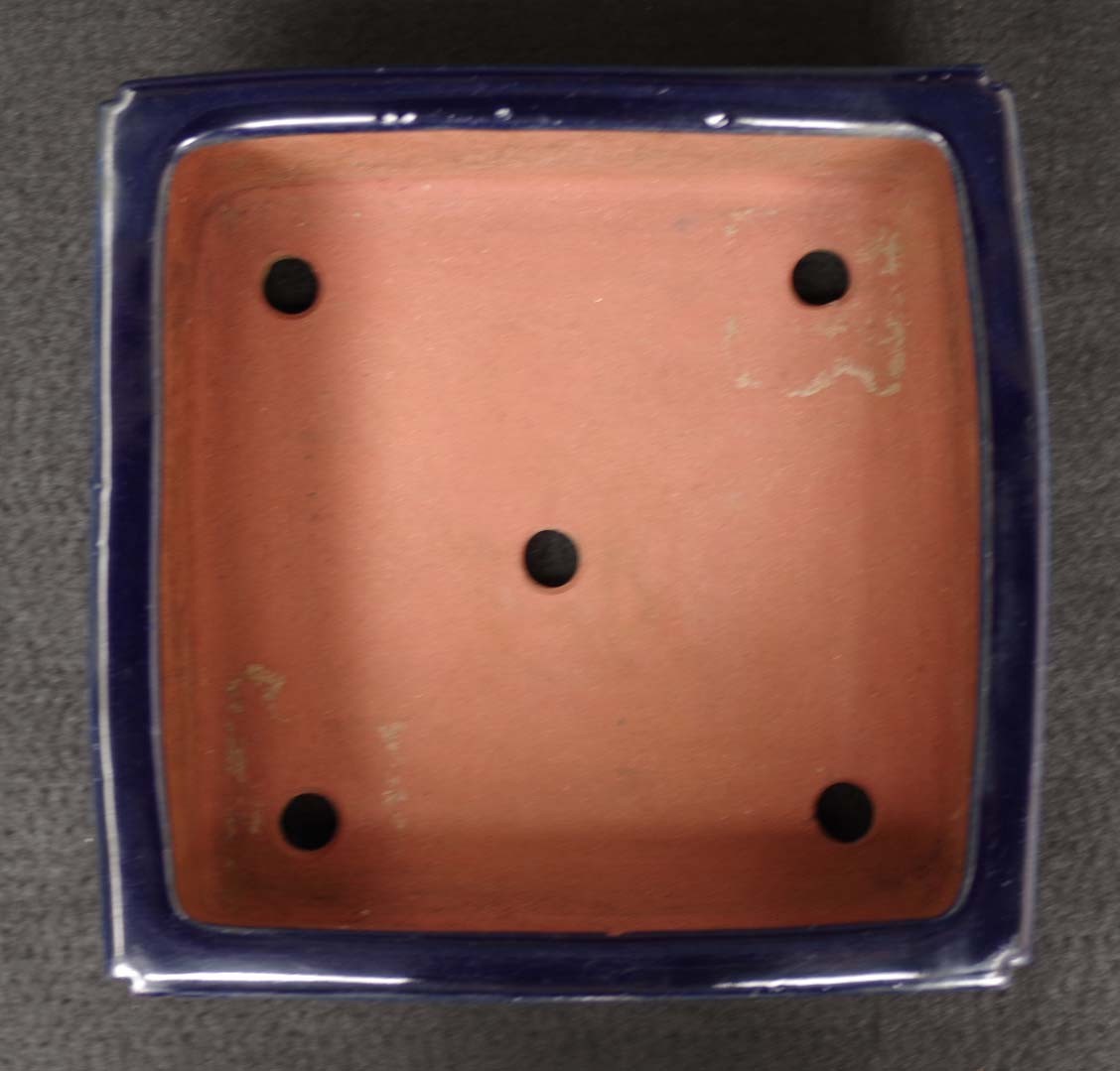 Bonsai Pot Tokoname Reiho Deep Blue Glaze Square Deep Width 23.1 cm (9.09 in.)