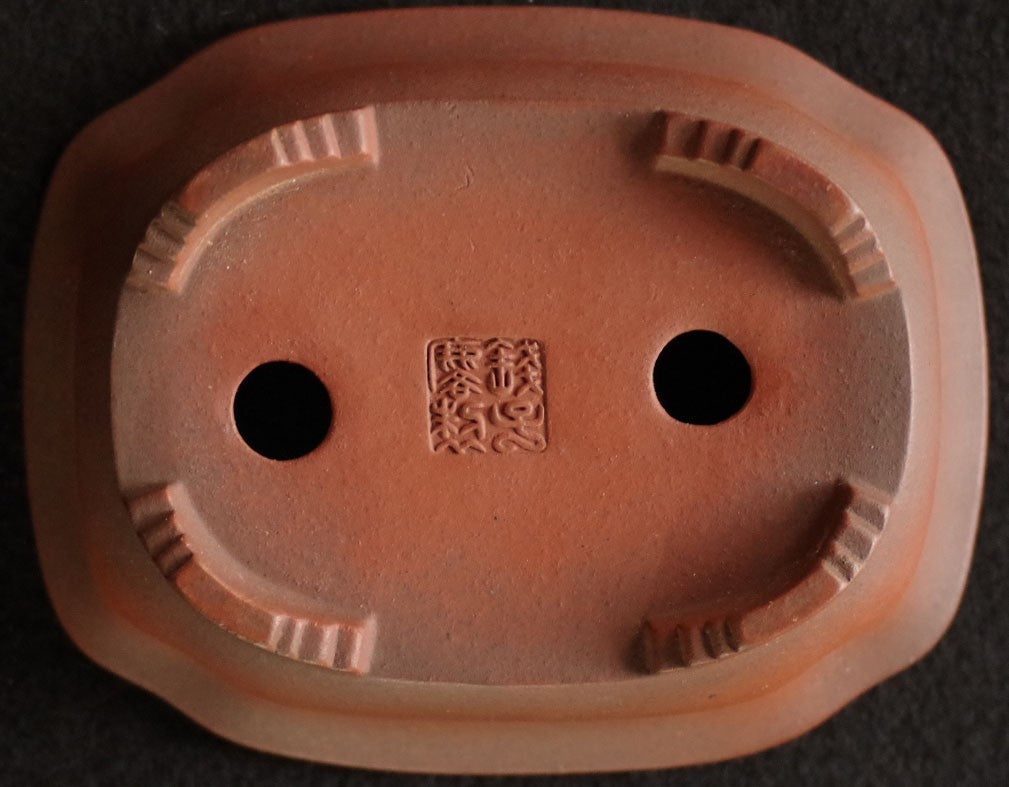 Tokoname Bonsai Pot Zenigo Unglazed MOKKO Width 18.0 cm (7.09 in) w/Tracking